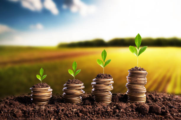 loan-type-USDA Loan